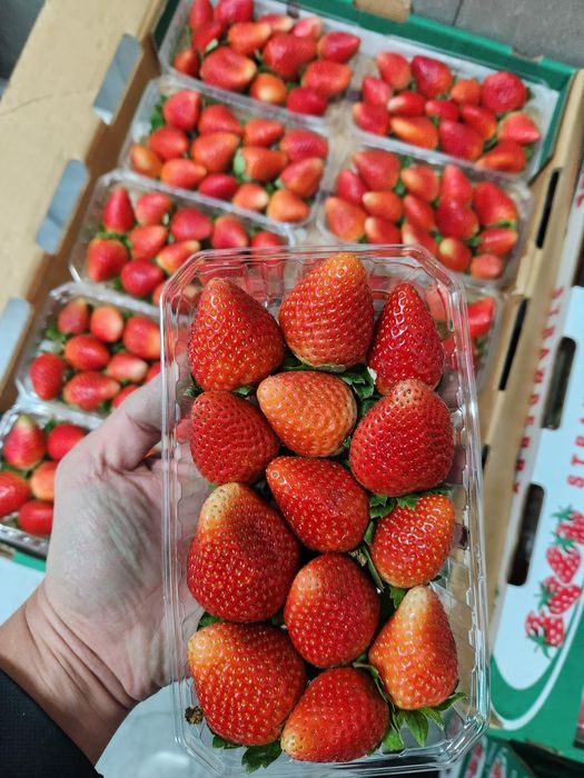 Египетская клубника