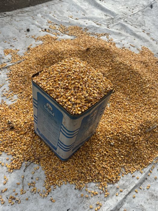 Продавам царевица