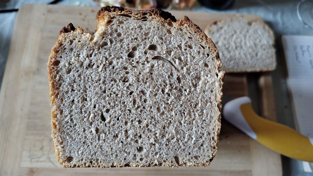 Maia naturală matură – starter activ pentru pâine artizanală