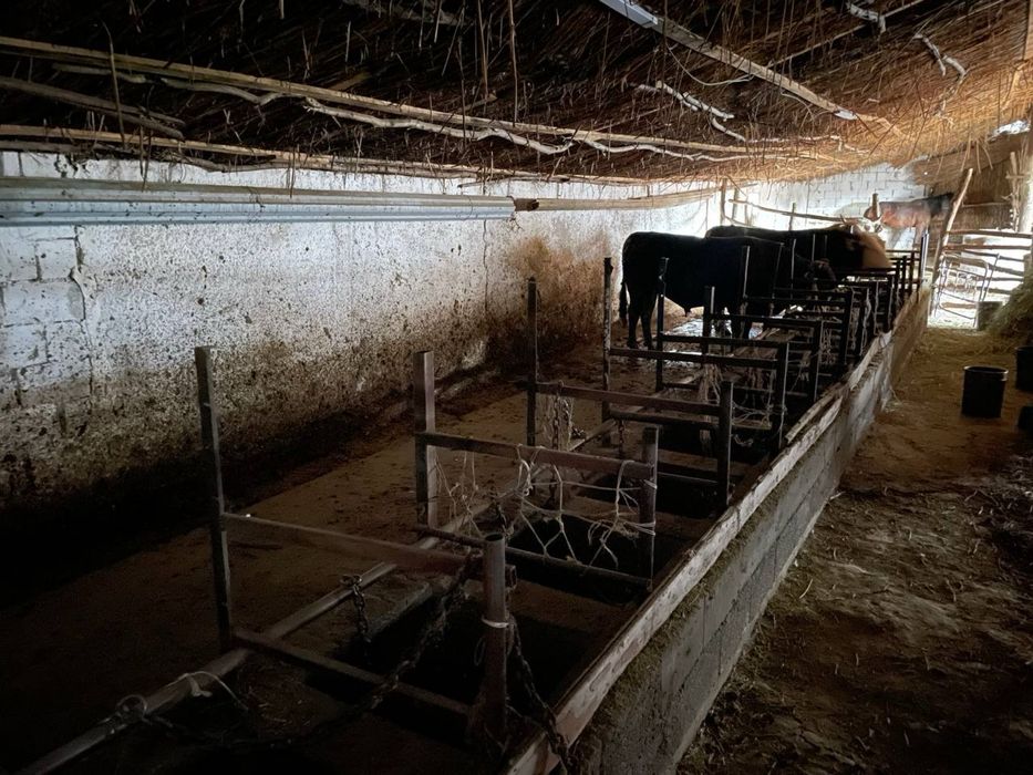 Фазенда, ферма, КХ