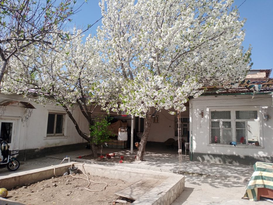 Срочно недорого продаётся дом на земле на ул.Ангарская махалля анхор