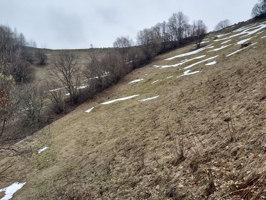 Teren de vânzare
