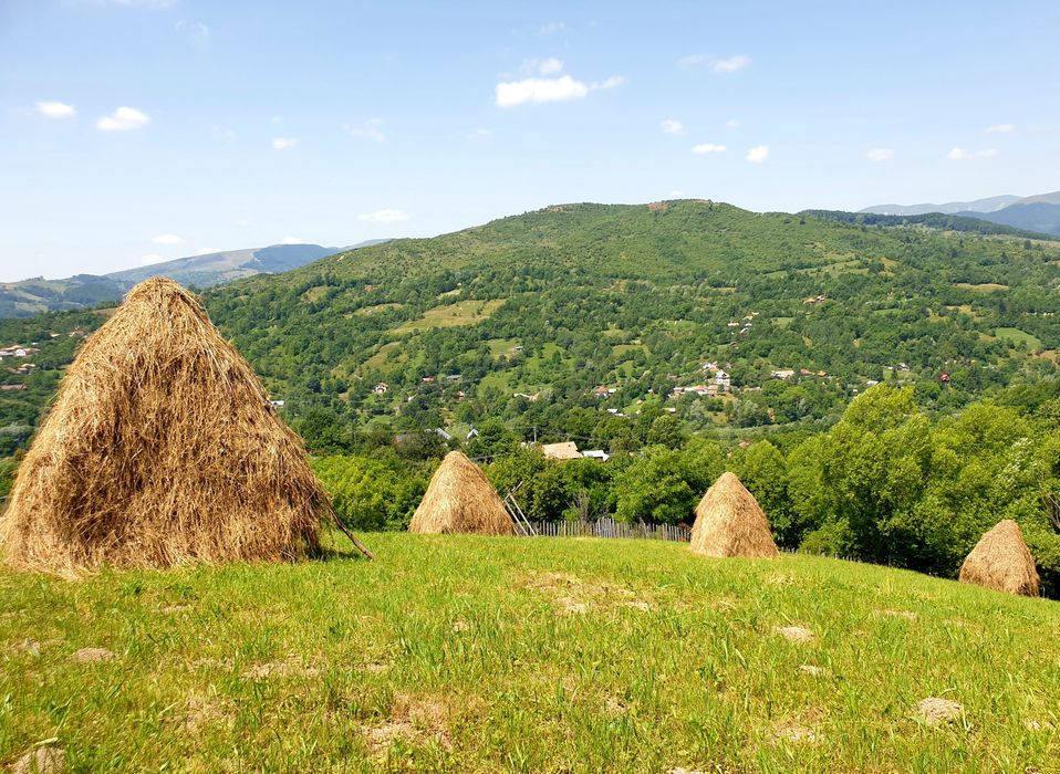 Teren intravilan Valea Doftanei