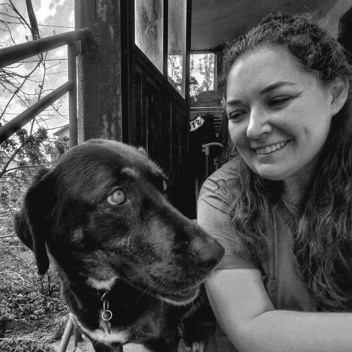 Разходка на кучета/Гледачка на котки/Dog walking/Pet sitter