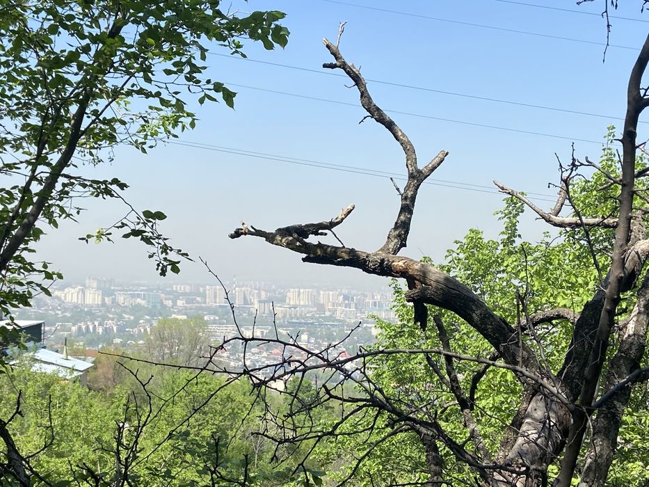 Участок на ремизовке