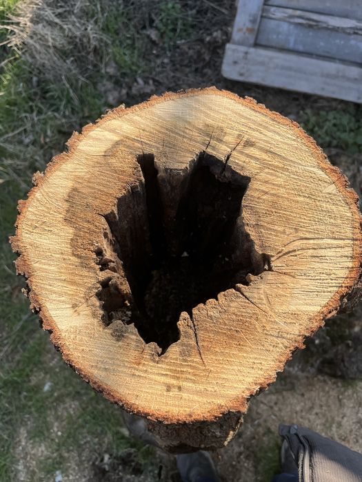 Дърво за декор.