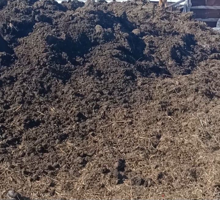 Продам перегной (конский)