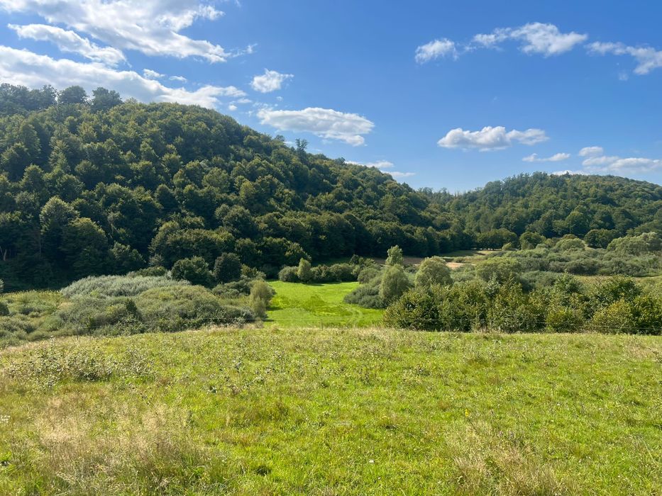 Teren de vanzare exatravilan