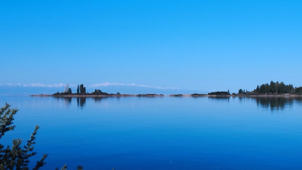 Тур фирма сотилади