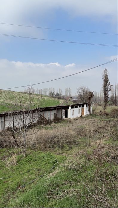 20 сотихли дача сотилади