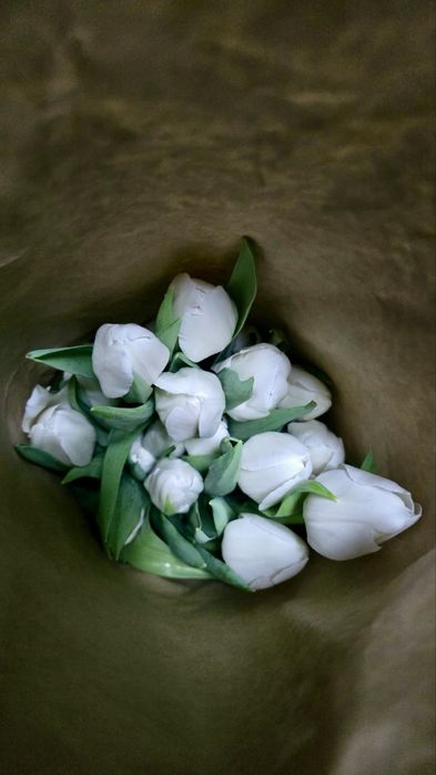 Тюльпаны доставка цветы