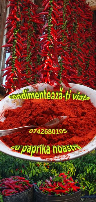 boia de ardei dulce și boia de ardei iute