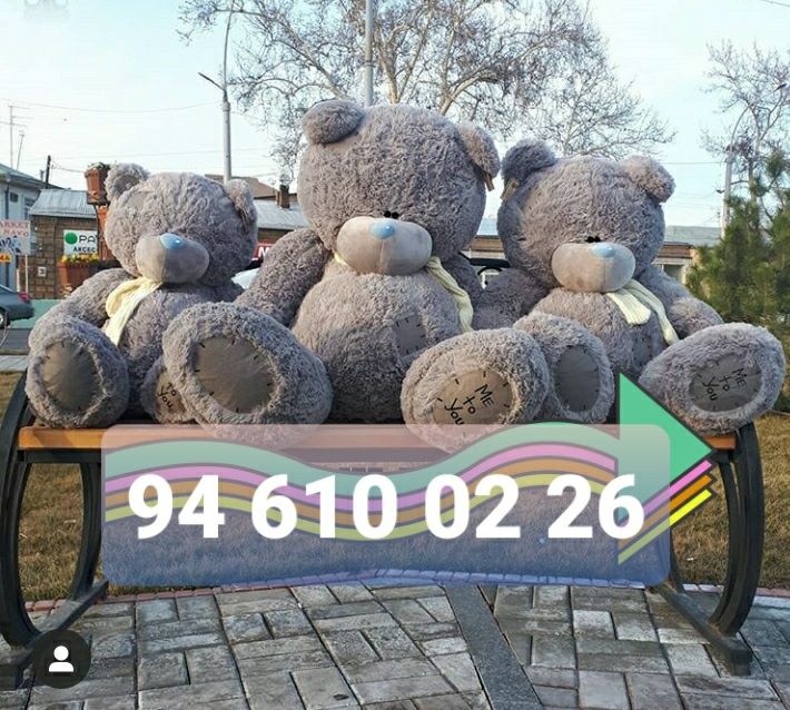 Teddy Teddi teddy teddi xammasi orginal sovg'a un