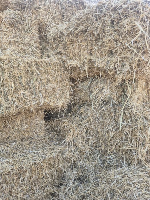 Салома сабан шоп