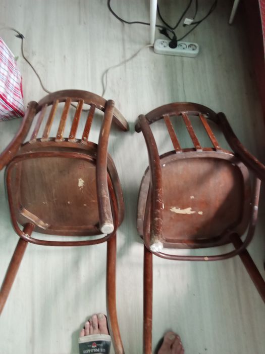 Стул венский Лигна