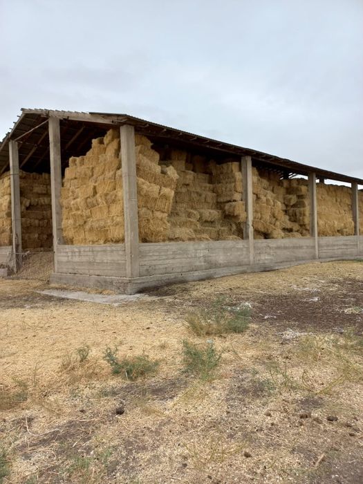 Ферма, для сельхоза и животноводничесва