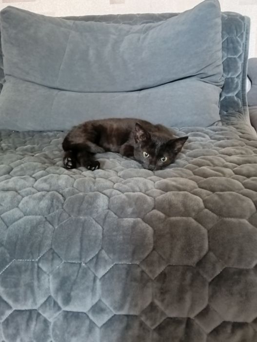 Малышка  ищет свой дом