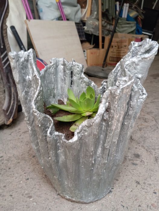 Продам цветы для сада