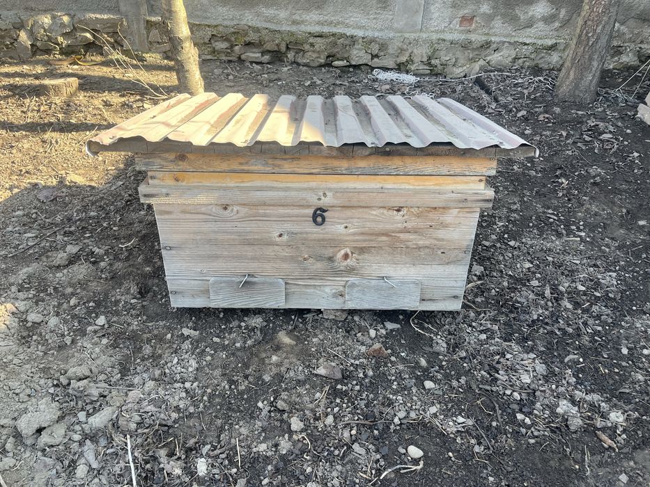 Stupi albini foarte bune lemn masiv