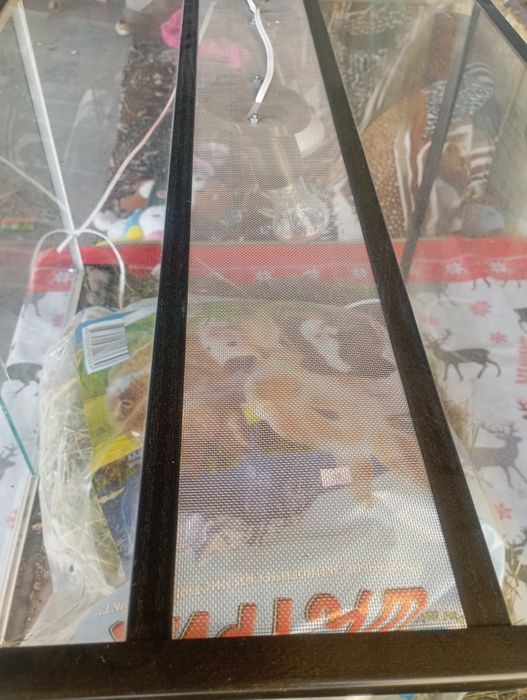 Продам Террариум