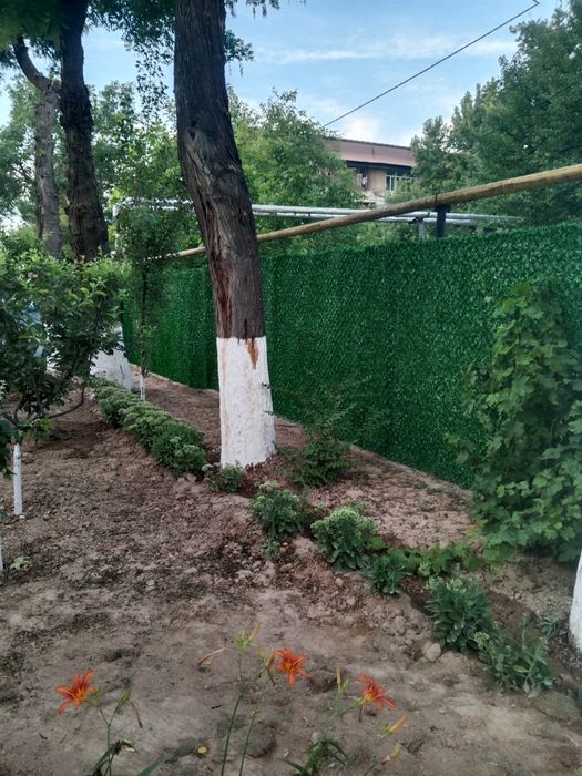Suniy gazon chim zabor devor