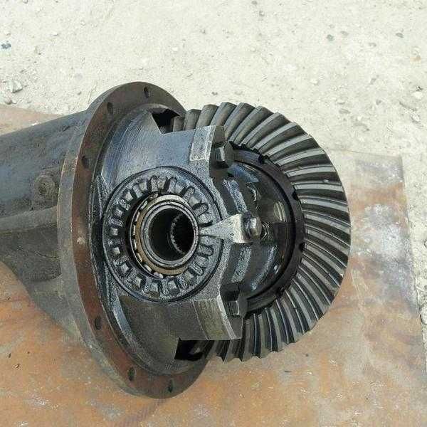 Кең піскен құлыншақ