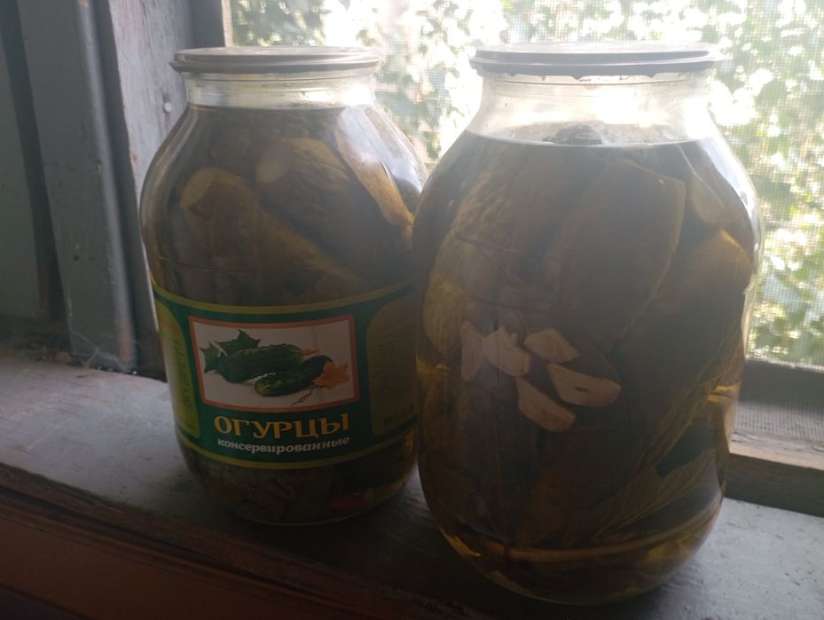 Огурцы соленые дачные