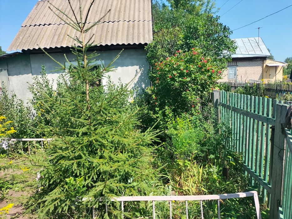 Продам дачу,общество Эврика