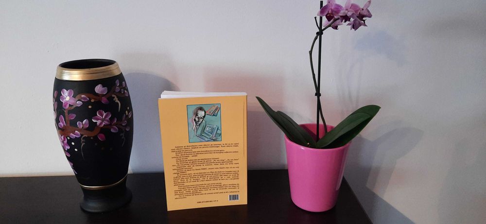 Vand Cartea "Afaceri pe Internet-Ghidul Succesului Online"