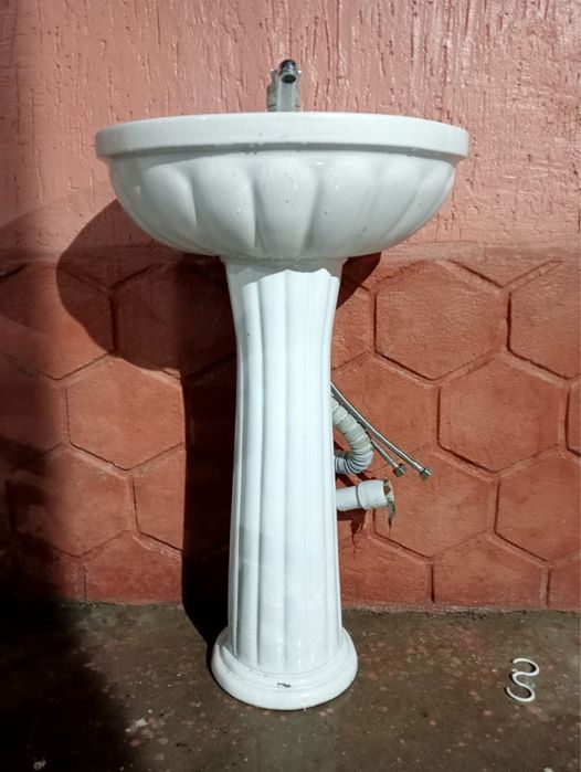 Раквина ромашка