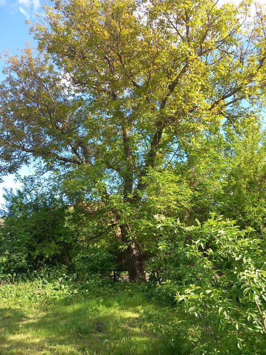 Продава се Къща в с. Долна Гращица, Област Кюстендил - 228 кв.м за 145 €/кв.м - Снимка #10