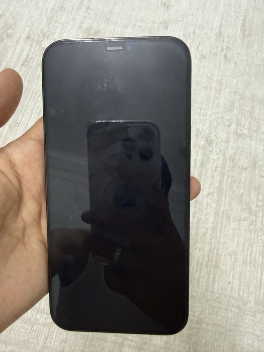 Iphone 12 pro max 256 gb