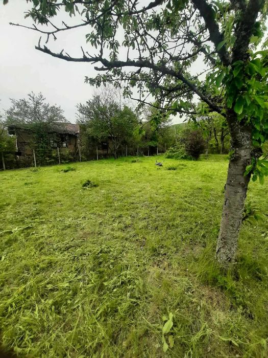 Продава се Парцел в с. Очуша, Област София-област - 735 кв.м за 32 €/кв.м - Снимка #3