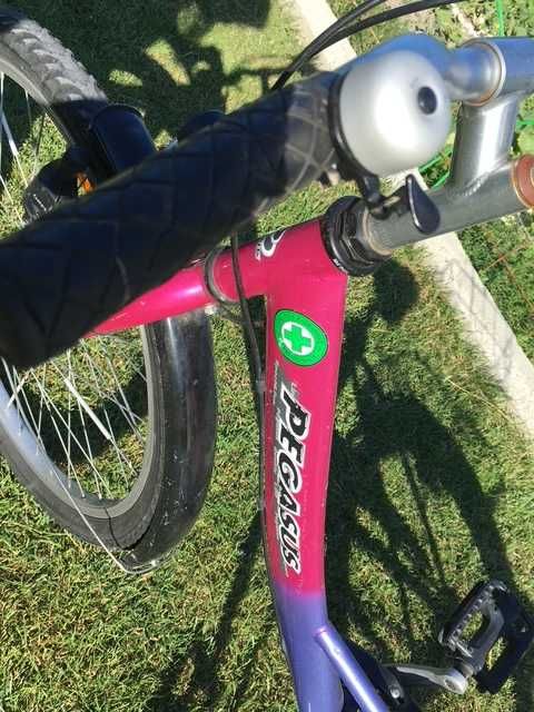 Велосипед Pegasus