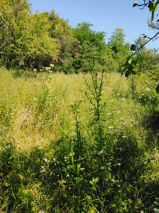 De vânzare teren intravilan – 2.500 mp ,15 euro mp,sat Ulmețel, Rm.VL