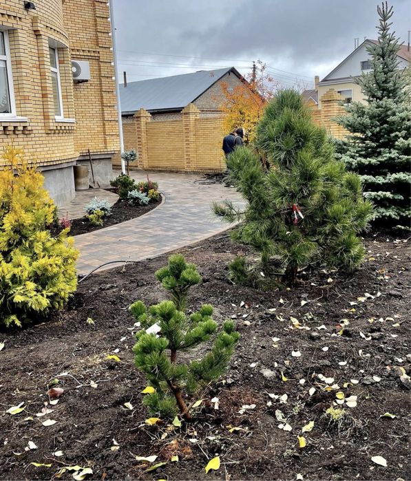 Газон евро ландшафт