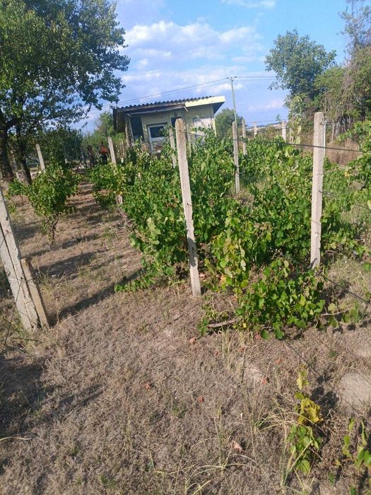 556-Продава се парцел с площ от 557 кв.м. в местността "Обзор"