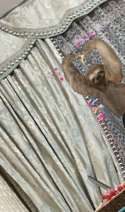 Шторы с бахромой и Ламбрекеном