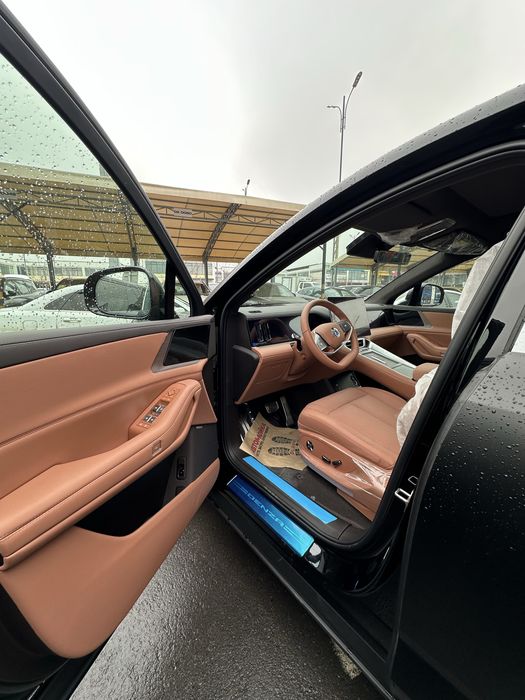 Denza N8L +bron plyonka