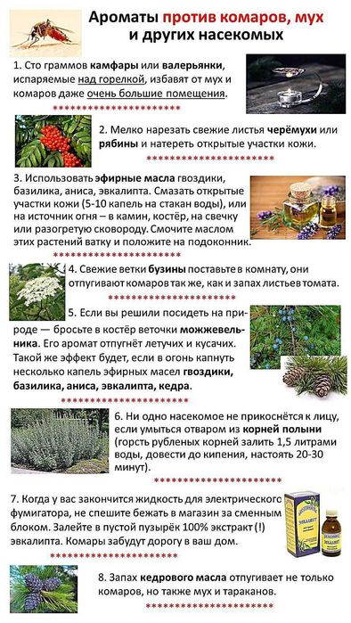 Обработка деревьев, растение Дезинфекция-Фумигация от вредителей и тля