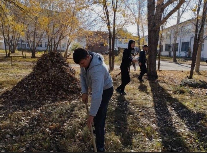 Уборка территории и вывоз мусора 7/24