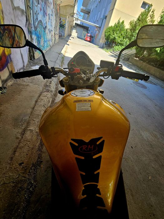 Honda Hornet PC41 - CB600F [2009]