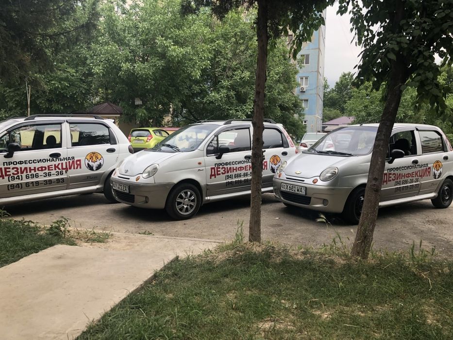 Dezinfeksiya, dezinseksiya, deratizatsiya