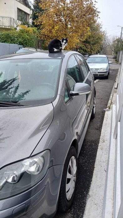 VOLKSWAGEN Golf Plus 2006 — imagine 2
