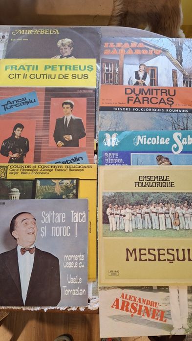 Discuri de vinil vechi