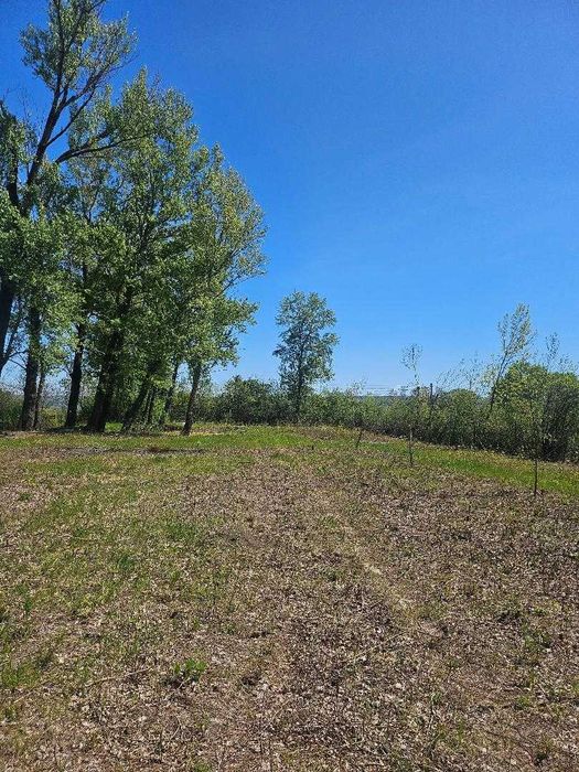 Investiție sigură! 6.200 mp intravilan, pe E85, lângă autostrada A7