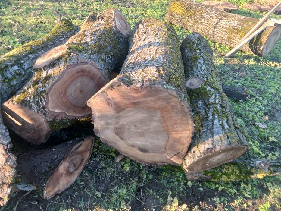 Vând lemn nuc aprox 10mc