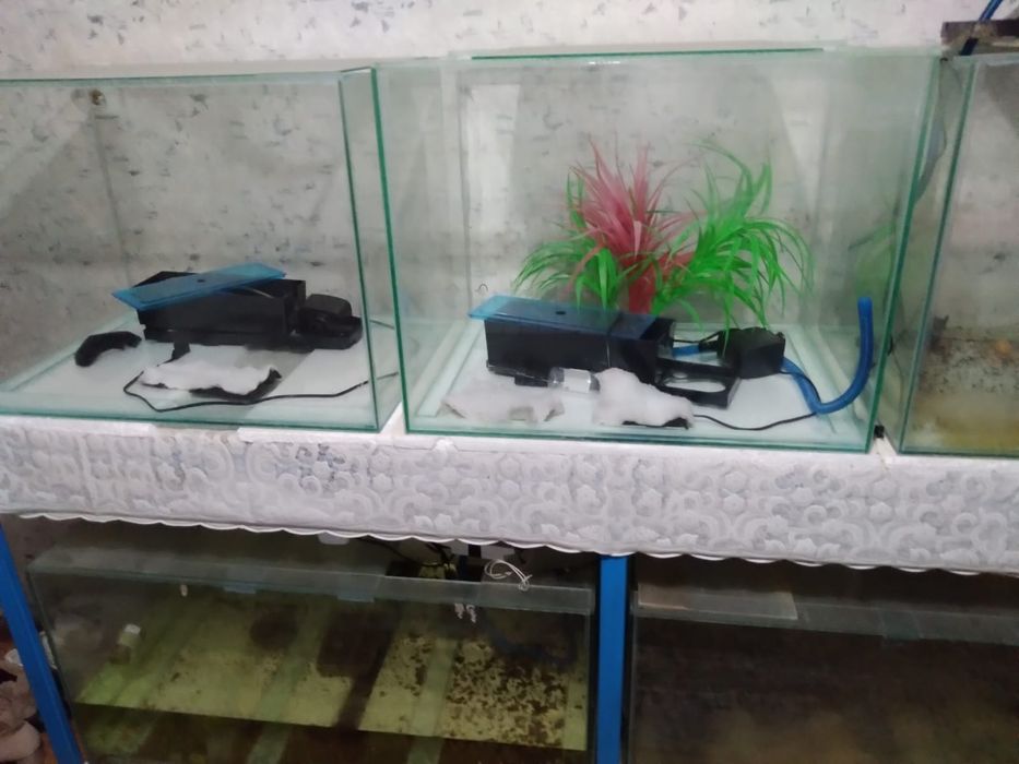 Комплект аквариумов со стойкой