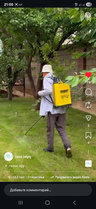 Шөп орамыз Шымкент