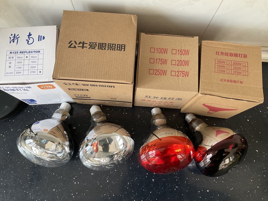 Лампочки Инфракрасные